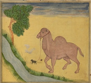Rumi The Camel and the Mouse1