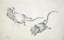 George Grosz Mouse sketchbook, 1950-1952
